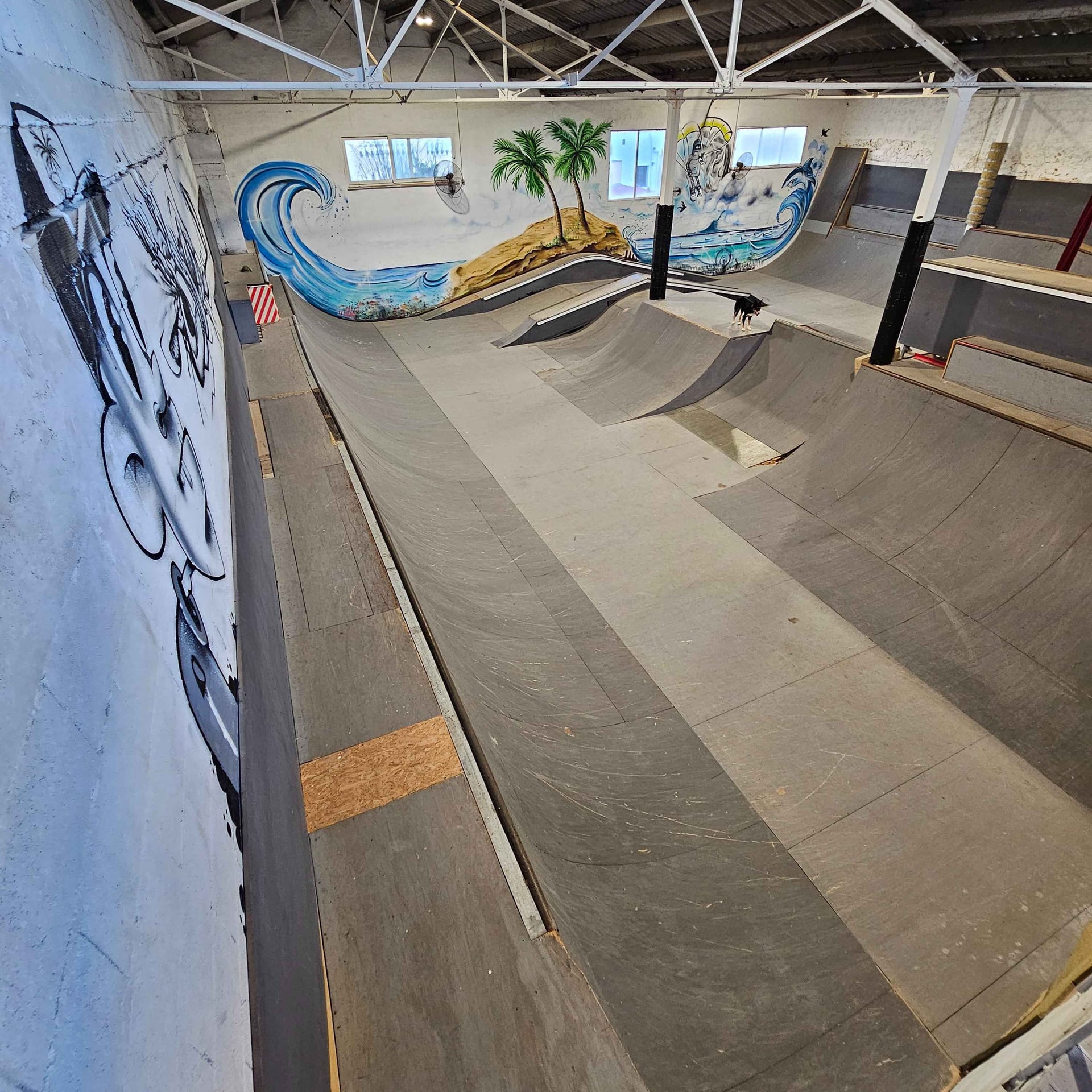 Vista del skatepark